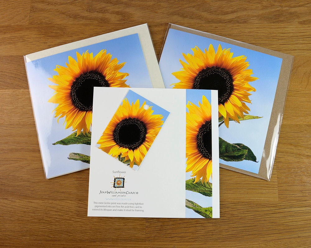 Sunflower Photo Card, Blank Fine Art Greeting Card - Etsy