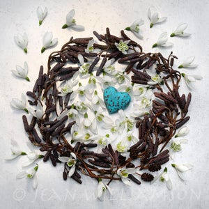 Carte photo, oeuf bleu, coeur, nid, perce-neige, fleurs de perce-neige, carré, intérieur vierge