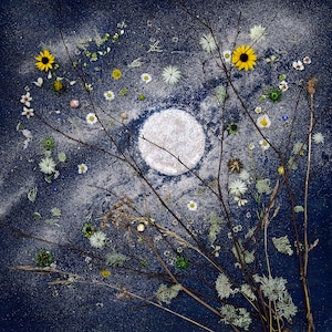 Carte photo, clair de lune, pleine lune, ciel nocturne, nature morte, paysage imaginaire, carré, blanc à l'intérieur