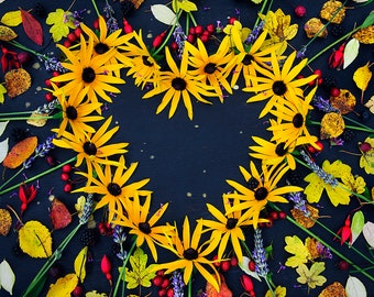 Photo card, Under the Flowers, Heart of Flowers, Rudbekia, Black Eyed Susan, Square, blank inside