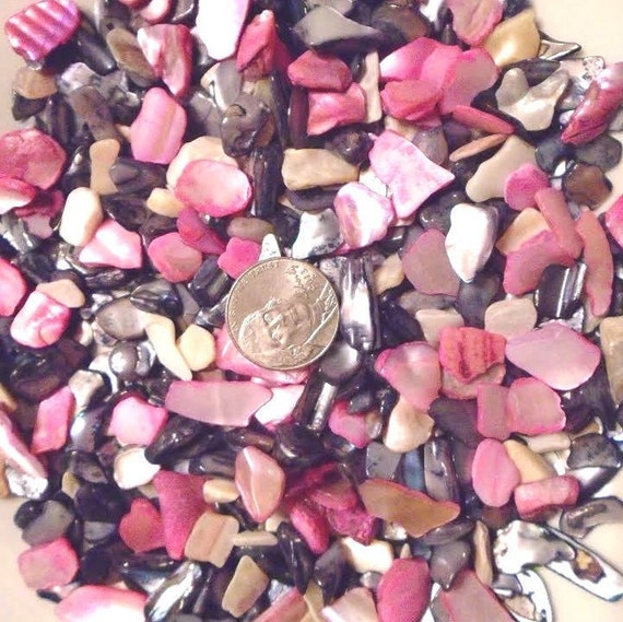 Pink Black Gray Ivory Crushed Mini Seashells Vase Filler Dyed Etsy