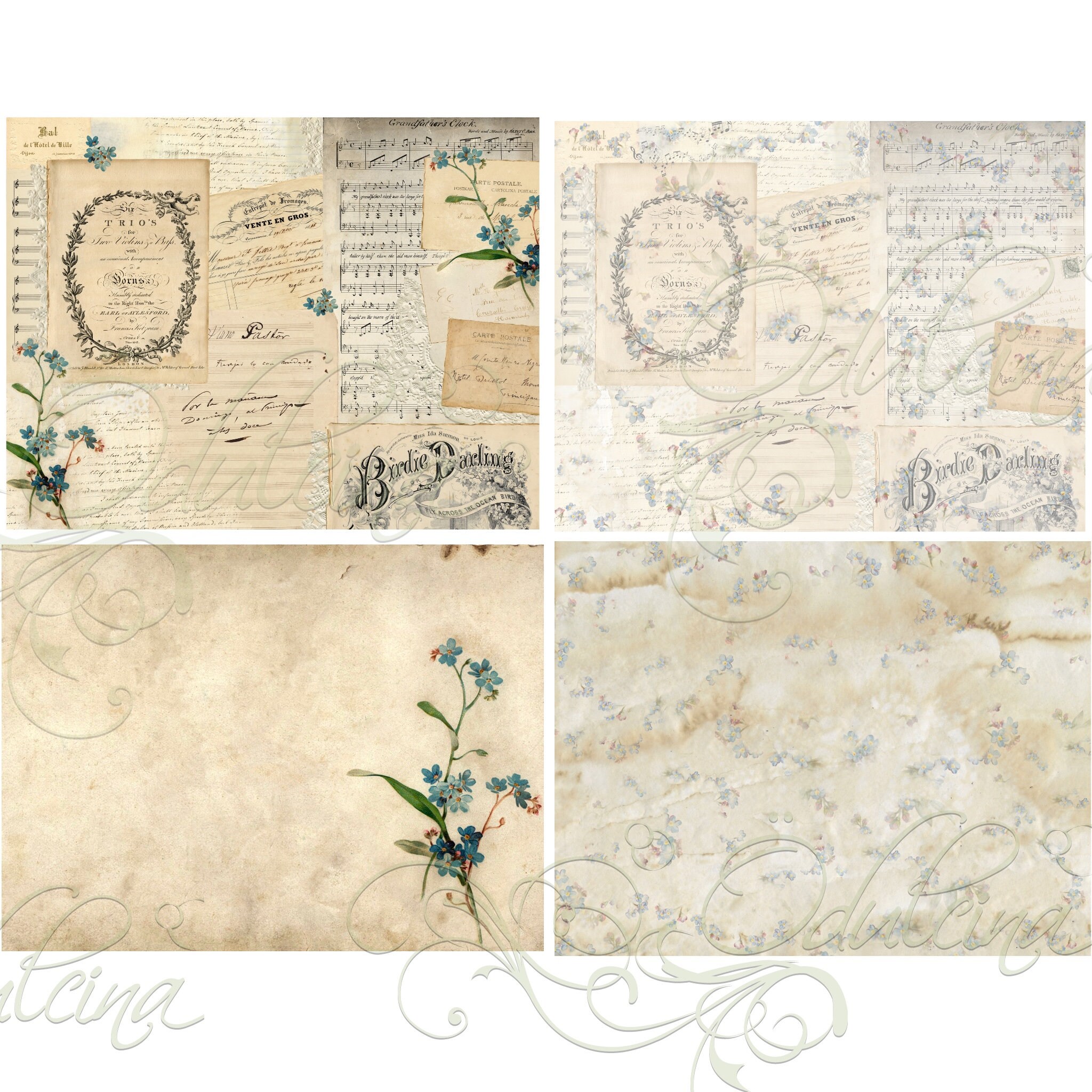 Me Not Kit Digital Download Antique Papers Etsy Canada