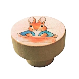 May include: A round wooden cabinet knob featuring a printed illustration of a brown rabbit wearing a blue jacket, sitting inside a terracotta-coloured pot. The knob has a natural light wood finish with a smooth, flat top surface and a tapered base.