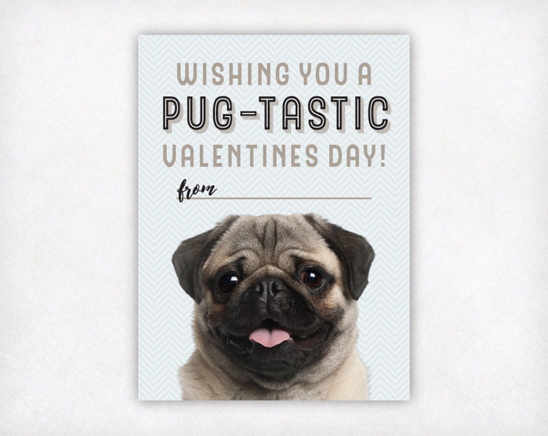PRINTABLE Pug Valentine Card Kids Valentines Day Cards Instant Download Boys Valentines Day