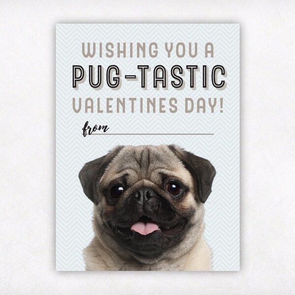 Pug Card - Etsy