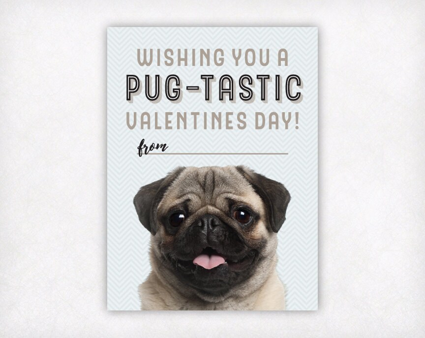 PRINTABLE Pug Valentine Card Kids Valentines Day Cards Etsy Canada