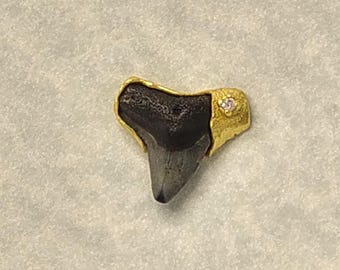 Fossilized Shark Tooth Tie or Lapel Pin mounted in solid 18 k gold, set with round brilliant diamond.