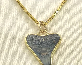 Fossil Shark Tooth Pendant set in 9 K gold