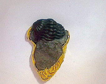 Fossil Trilobite Tie or Lapel Pin mounted in solid 18 k gold.