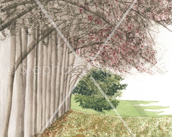 PRINT of watercolor painting of fall trees and path 10x14