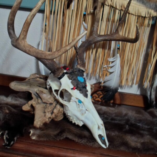 OOAK Native American Made European Whitetail Deer Skull Mount Embellished with Flint Spearhead & Arrow, Tourquoise -Reiki blessed