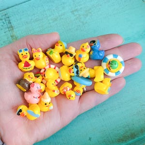 May include: A collection of miniature rubber ducks in various colors and designs, including some wearing sunglasses, hats, or holding small items like watermelon slices and ice cream cones, alongside a small blue and white striped life preserver.