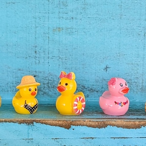 May include: Five miniature rubber ducks arranged in a row. The first is yellow with blue star glasses and a watermelon pattern. The second is yellow with a tan sun hat and black bikini. The third is yellow with a pink bow and life preserver. The fourth is pink with a flower. The fifth is yellow with a red bikini.