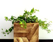 Wooden Planter Box