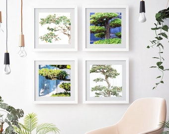 Bonsai Print | Bonsai Photograph | Botanical Print | Green Wall Decor |  Garden Wall Decor | Bonsai Wall Decor | Bonsai Print Set | Bonsai