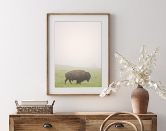 Bison Print | Foggy Bison Buffalo | Foggy Bison | Wichita Mountains, Oklahoma Bison | Prairie Bison | Great Plains Bison | American Buffalo