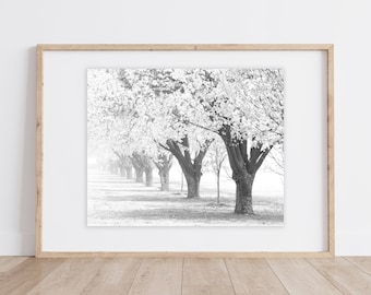 Pear Tree Art Print | Blooming Bradford Pear Trees | Misty Line of Trees | Minimalistic Tree Print | Wall Art Trees | Black White Tree Print