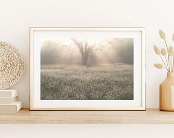 Foggy Tree Print | Backlit Tree Foggy Tree | Wall Decor Foggy Tree | Sunbeams Tree Print | Wall Decor God Beams | Buffel Grass Print | Foggy