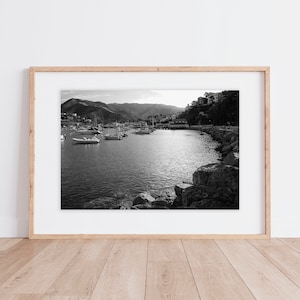 Stampa Catalina Island / Avalon Bay / Isola Catalina / Isole del Canale / Stampa Catalina / Stampa Island Bay / Stampa Catalina in bianco e nero