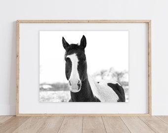 Horse Print | Black and White Paint Horse Print | Black White Horse Art | Horse Portrait Print | Paint Horse Wall Art | Rustic Horse Print