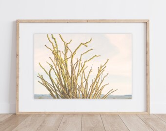 Ocotillo Cactus Print | Yellow Autumn Ocotillo | Cactus Print | Desert Ocotillo | Desert Wall Decor | Cactus Wall Decor Print | Desert Art