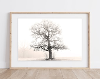 Foggy Tree Print | Foggy Oak Tree Print | Oak Tree Print | Winter Oak Tree | Wall Print Tree | Misty Oak Tree | Rustic Wall Art Nature | Art