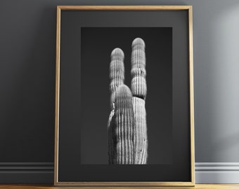 Cactus Print B&W | Cactus Print | Desert Print | Saguaro Cactus Print | Black White Saguaro | Arizona Print | Sonoran Desert Print | Stark