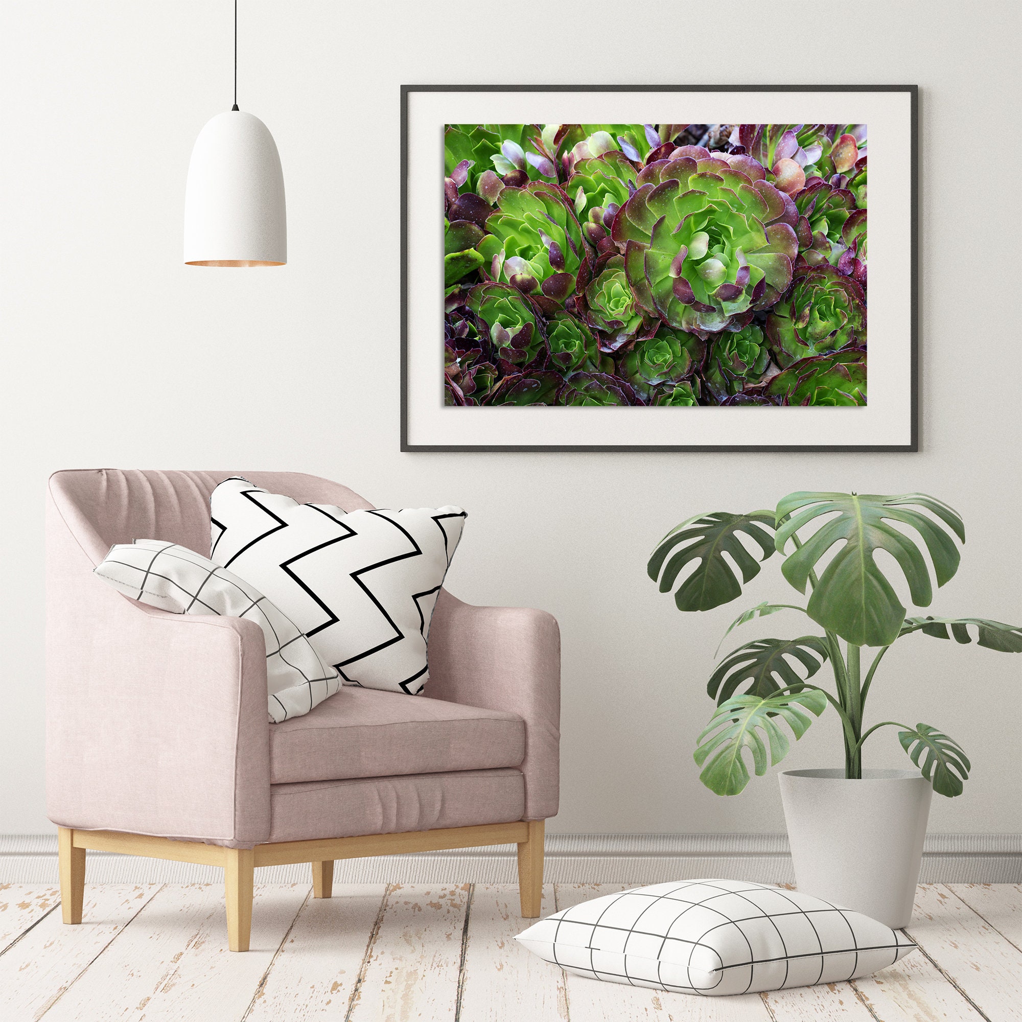 Succulent Art Print: Botanical Gallery Wall Decor - Etsy