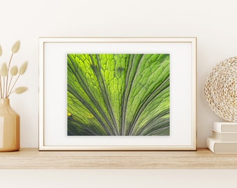 Botanical Print: Botanical Wall Art