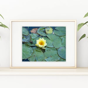 Imprimé nénuphar fleuri | Imprimé nénuphar | Fleur d&#39;eau à imprimé botanique | Art mural nénuphar | Décoration murale pour salle de bain | Décoration murale pour la salle de bain Fleurs aquatiques |