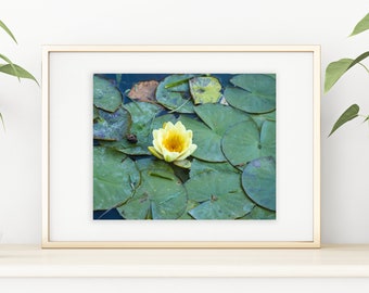 Lily Pad Block Print - Etsy