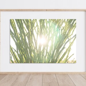 Ocotillo Cactus Print Desert Print Desert Sunrise Cactus Arizona Print Desert Sunrise Print Cactus Sunrise Print Ocotillo Art image 4