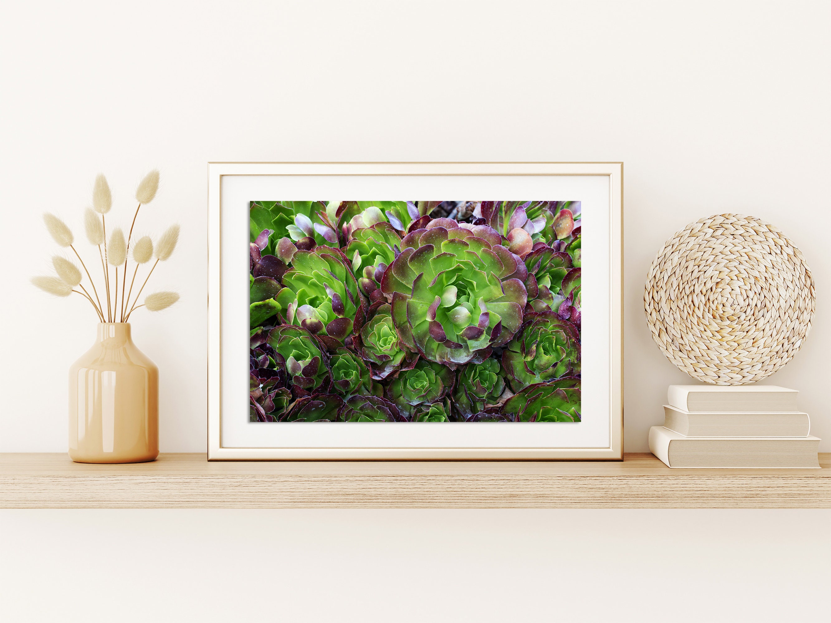 Succulent Art Print: Botanical Gallery Wall Decor - Etsy