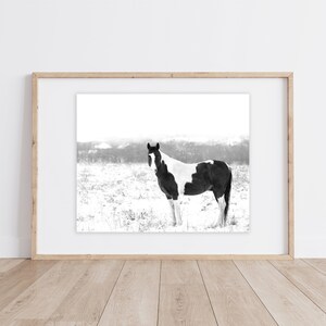 Paint Horse Print | Paint Horse Snow | Horse Print | Old Paint Horse |  Winter Horse Print | Black and White Paint Horse | Rustic Wall Decor