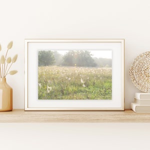 Spiderweb Print | Dew Covered Spiderweb | Spiderwebs | Spiderwebs Print | Sunrise Spiderwebs | Oklahoma Print | Web Art Print |