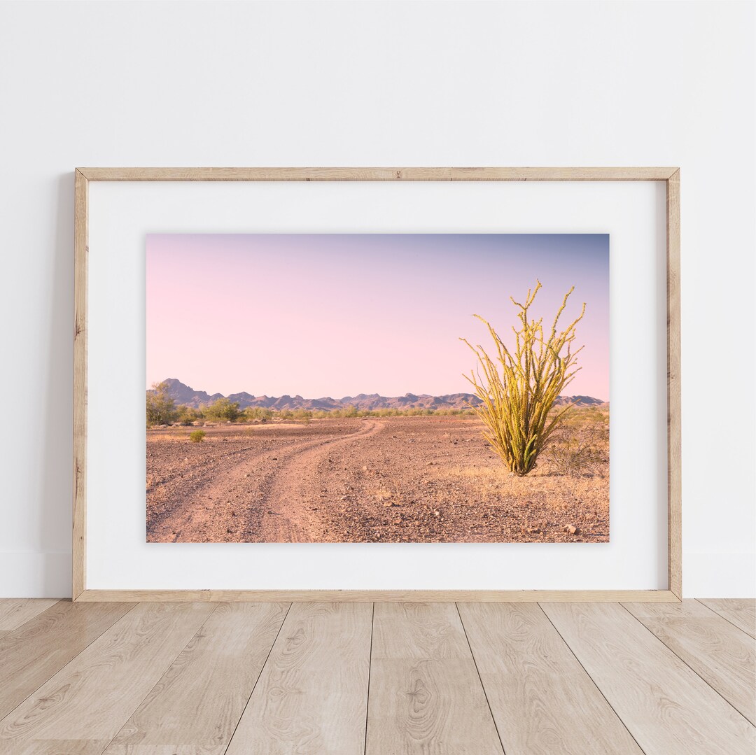 Desert Road Print | Off-road Desert Print | Ocotillo Cactus | Road ...