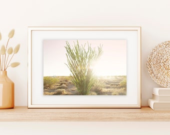 Ocotillo Cactus Print| Desert Ocotillo | Desert Print | Arizona Cactus Print |  Arizona Highways | Desert Sunrise |
