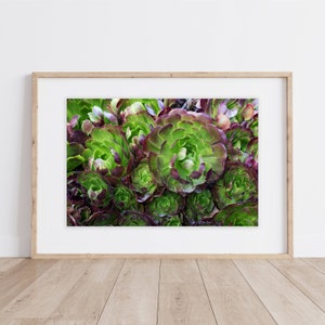 Succulent Art Print | Botanical Print | Succulent Print | Garden Print | Plant Prints | Succulents Plant Art | Botanical Gallery | Stonecrop