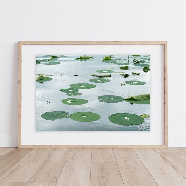 Lily Pad Print | Wichita Mountains Wildlife Refuge |Oklahoma Print |Water Lily Print | Nature Water Print | Water Lily Pad |Calm Water Print