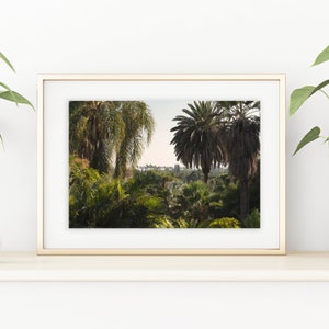 Impresión de palmeras / Arte de pared de palmeras / Paisaje de palmeras / Arte de pared de baño / Decoración de pared de baño verde / Impresión estilo selva / Selva