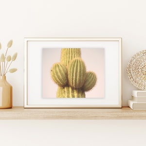 Saguaro Cactus Print | Cactus Print |  Arizona PrinT | Desert Print | Botanical Print Cactus | Saguaro Art Print | Pink Desert Art Print |