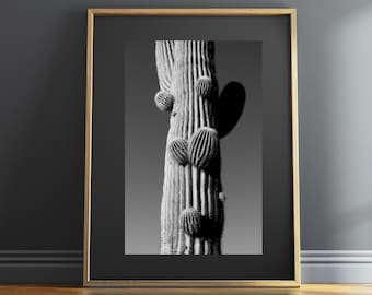 Saguaro Cactus Print: Black and White Arizona Desert Photography