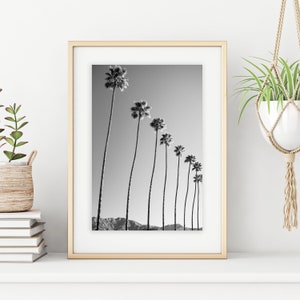 Impresión de palmeras de Los Ángeles / Impresión de palmeras plam / Palmeras altas y delgadas / Impresión de palmeras blancas negras / Palmas de Los Ángeles / Palmeras de Hollywood / Palmera Sunset Blvd