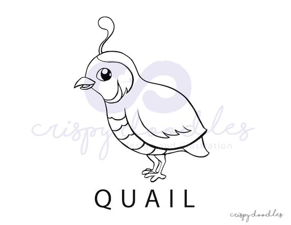 Printable Bird Coloring Pages Download Cute Bird Coloring Etsy