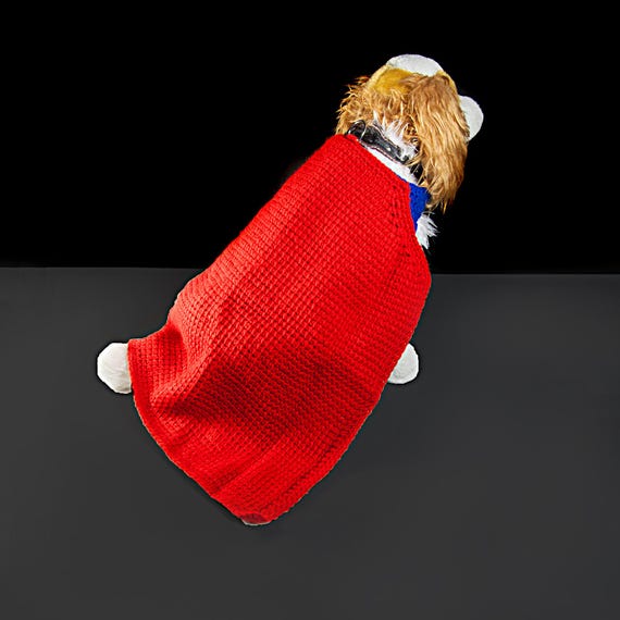 Handmade Tunisian Crochet Dog Sweater with Red Cape – Medium Pet Size 10–15 lb – Blue Body with D-Ring Leash Hook