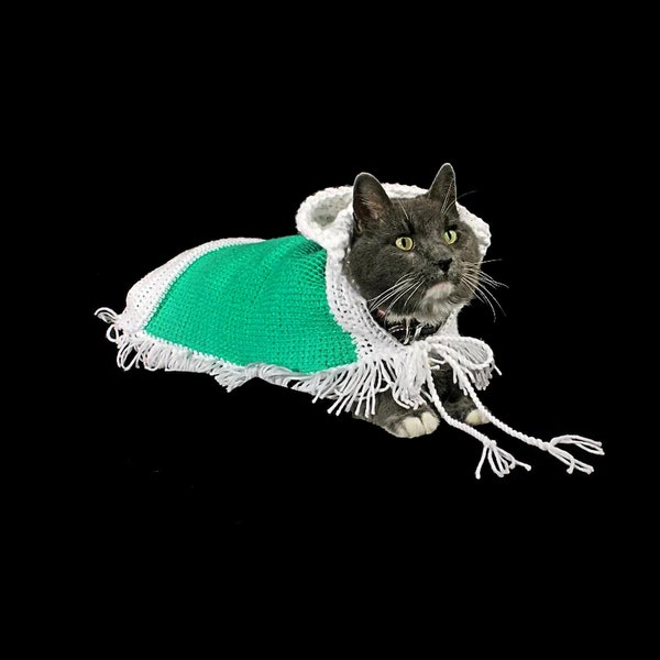 Handmade Crochet Pet Poncho Hoodie Cat or Small Dog Sweater Green White Fringe