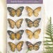 see more listings in the Alle section