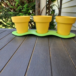 May include: Three yellow ceramic pots with a green plastic tray. The pots are arranged in a row on a dark wood surface.