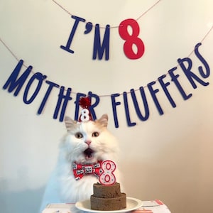 Cat Birthday Banner, Happy Birthday Mother Fluffers, Cat Birthday Decoration, Lets Purrty, Its My Birthday Mother Fluffers, Kitty Birthday