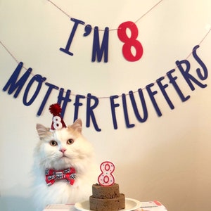Cat Birthday Banner, Happy Birthday Mother Fluffers, Cat Birthday Decoration, Lets Purrty, Its My Birthday Mother Fluffers, Kitty Birthday image 2